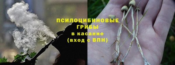 мескалин Касимов